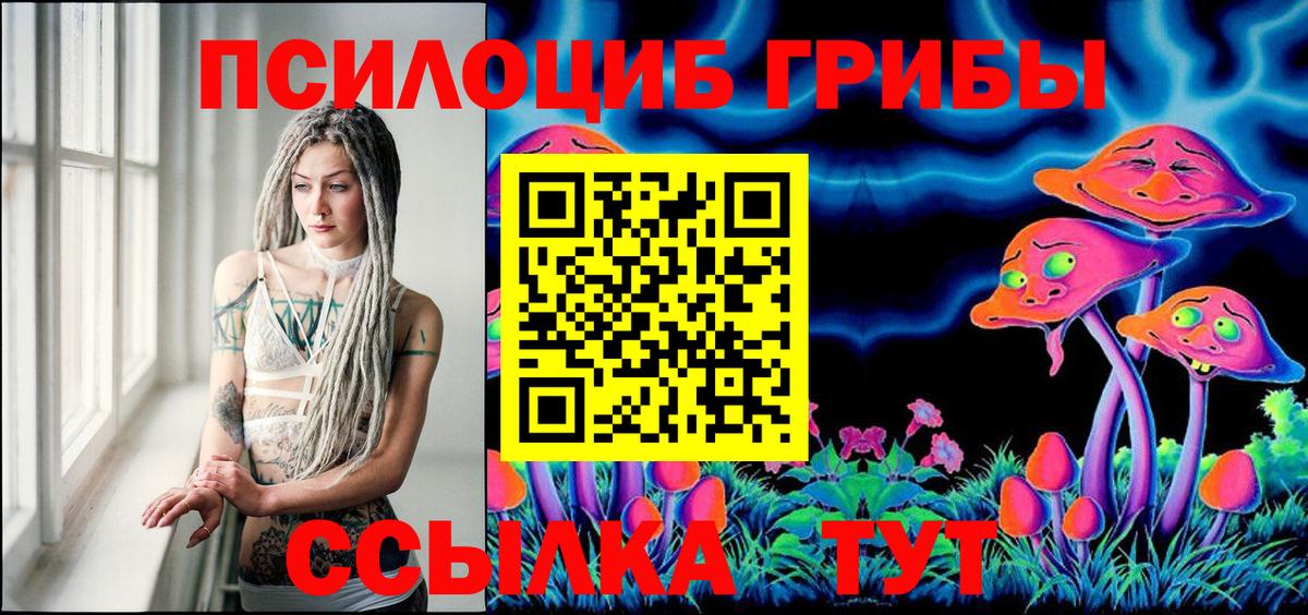 Псилоцибиновые грибы мухоморы  цена   Пушкино  Вход с VPN 